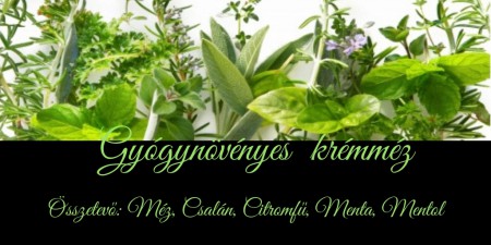 Gyógynövényes Krémméz